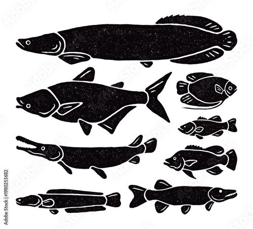Freshwater Fish Collection Linocut Style Illustration Vector