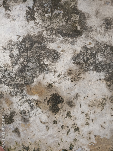 Dirty stained surface with mold growth.