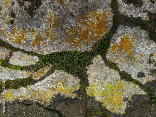 Moss covered stone wall closeup texture.