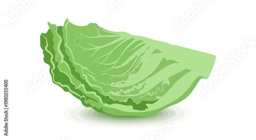 Fresh green lettuce wedge, crisp and ready for a healthy meal.