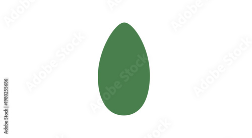 Green Oval Shaped Object Closeup.