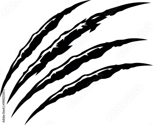 Black claw marks silhouette isolated on transparent background scratch texture