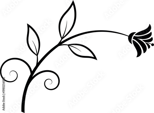 Floral silhouette branch isolated on transparent background delicate botanical illustration