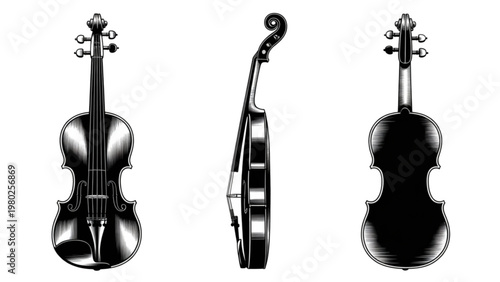 Three classic string musical instruments in black and white silhouette style
