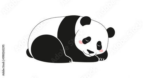 Cute black and white panda bear.