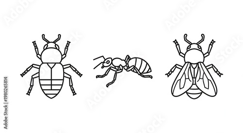 Line Art Insects: Beetle, Ant, and Bee Icons on White Background
