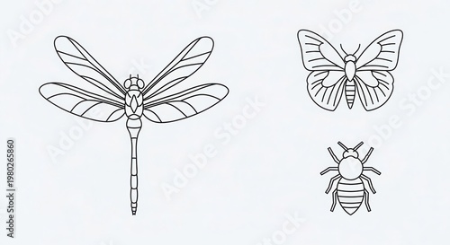 Line Art Insects: Dragonfly, Butterfly, Bee - Vector Illustrations on White Background