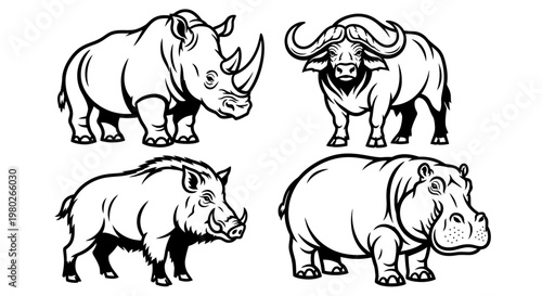 Black and white rhino and hippopotamus.