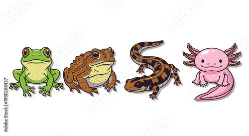 Colorful illustration of four amphibians together.