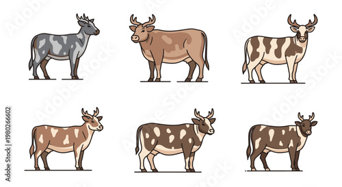Cows in different colors standing still.