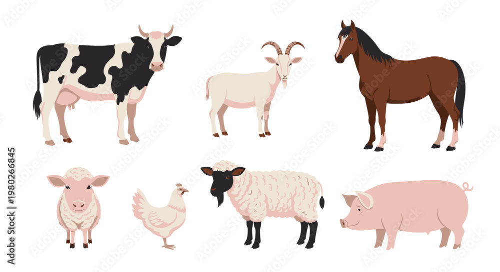 Fototapeta premium Farm animals standing on white background.