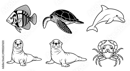 Marine animals group sea creatures.