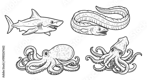 Marine animals sea creatures drawing.