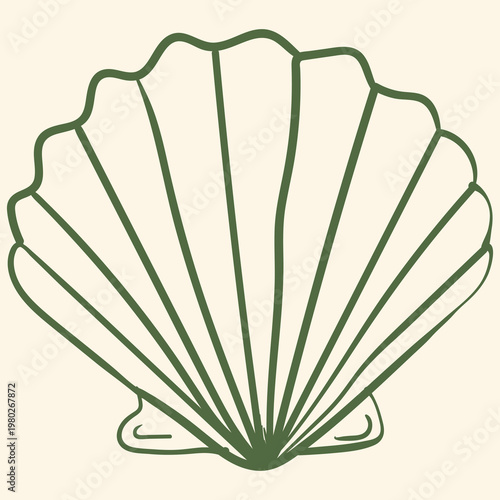 Fotografie Simple line art illustration of a scallop shell, handdrawn style vector icon