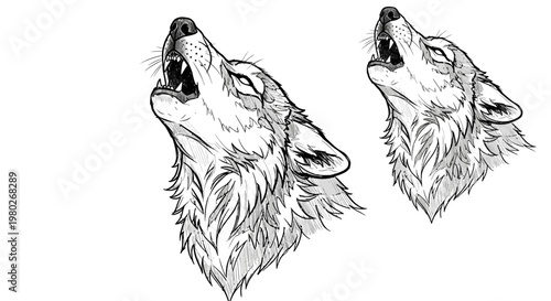 Two wolves howling at the moon.