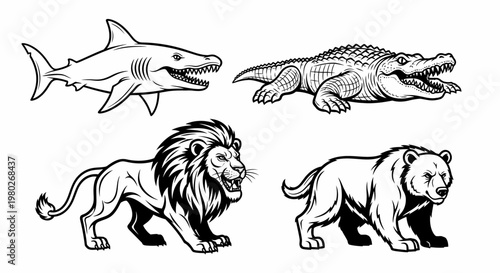 Wild animals lion shark bear crocodile.