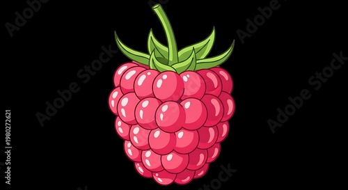 Illustration of a ripe raspberry with green leaves on a black background