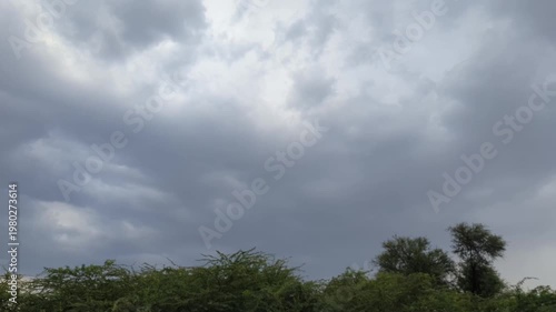 cloudy sky and trees in the distance video