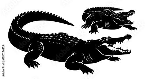 A black silhouette of two crocodiles on a white background