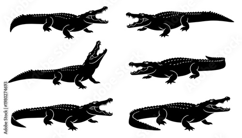 A group of black crocodile silhouettes on a white background