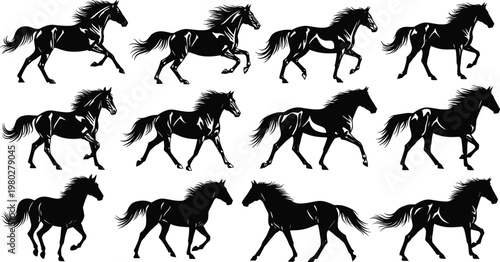 Running horse silhouettes collection with dynamic poses, detailed wild animal vector set isolated on white background for equestrian design