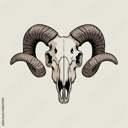 Ram Skull with Curved Horns Artistic Illustration.
