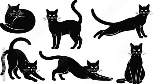Cat silhouette collection vector set featuring different poses of domestic feline isolated black animal figures for pet design