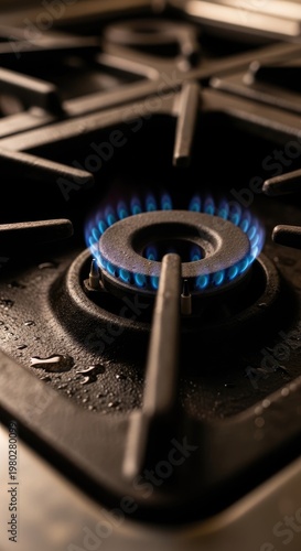 Burning Gas Stove Flame Close Up.