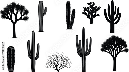 Desert cactus and tree silhouettes set including saguaro, Joshua tree and shrubs, detailed botanical vector collection isolated on white background