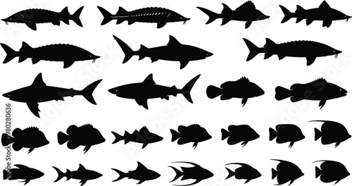 Fish silhouettes collection featuring freshwater and marine species isolated black vector illustration set for aquatic wildlife and fishing design use