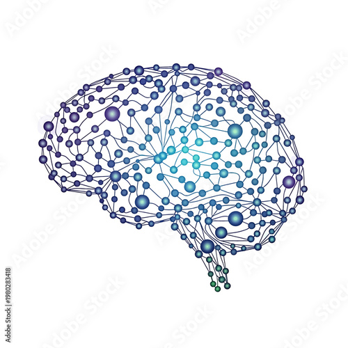 Brain with interconnected neural networks.