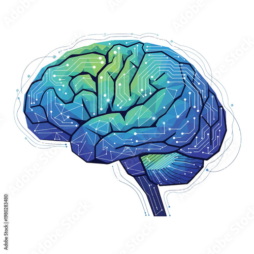 Detailed illustration of a human brain.