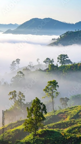 A serene landscape showcases rolling hills shrouded in a thick layer of morning mist, with lush green trees punctuating the scene and distant mountains fading into the hazy horizon.