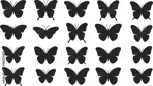 Butterfly silhouette collection illustration, black insect shapes set for nature design and pattern