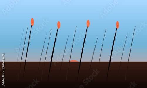 Sunset Grass with Bokeh Lights and Depth of Field Natural Background
