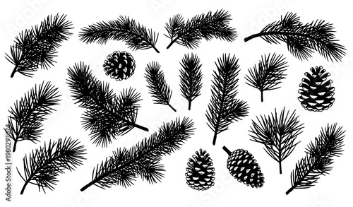 Stylized pine branch silhouette collection with cones and needles in modern botanical vector design