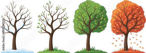 Seasonal tree illustration set with four seasons winter spring summer and autumn in clean vector style