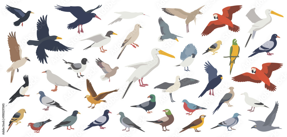 Fototapeta premium Diverse Assortment of Colorful Bird Illustrations animal