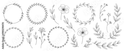 Hand Drawn Floral Wreaths and Botanical Elements leaves