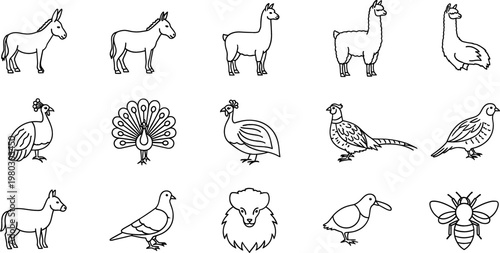 Canvas Print Hand-drawn Animal Line Art Collection: Donkey, Horse, Llama, Peacock, Lion, Pige