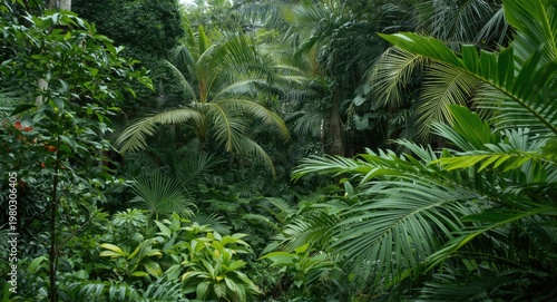Tropical summer garden filled with healthy lush trees and vibrant green leaves showcasing thriving nature