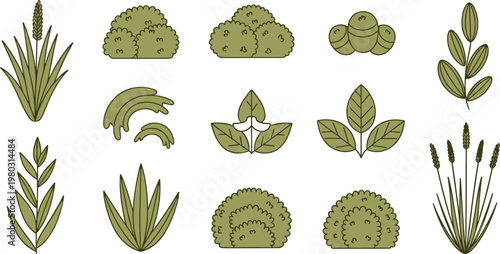 Green shrubs and plants vector set with bushes leaves grass and natural botanical elements illustration collection
