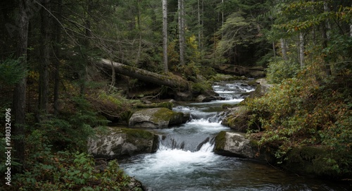 Thick forest scene with river running close to flowing waterfalls