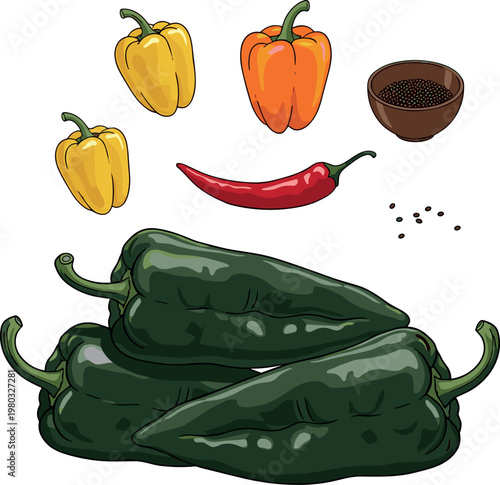 Assorted chili peppers and spices with green poblano and colorful capsicum vegetables fresh ingredients vector illustration set