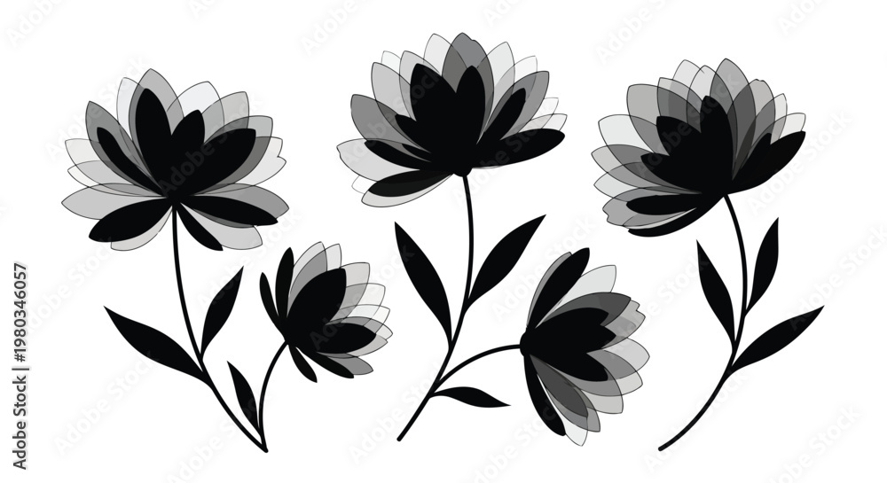 Fototapeta premium Black flowers on stems with leaves