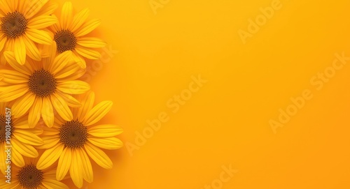 Yellow coneflower blossoms with vibrant petals on bright orange background featuring copy space