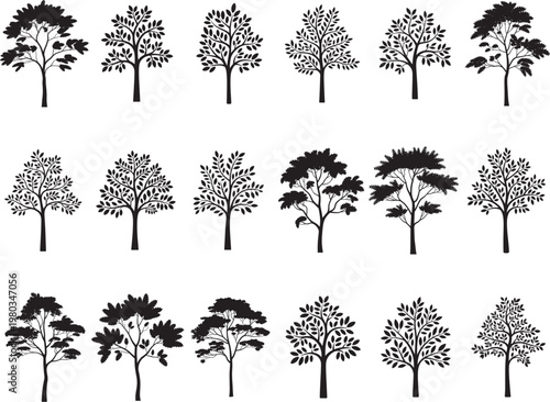 Cypress Tree Svg Bundle