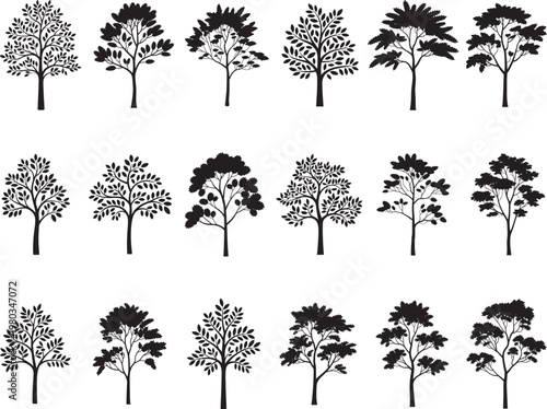 Cypress Tree Svg Bundle