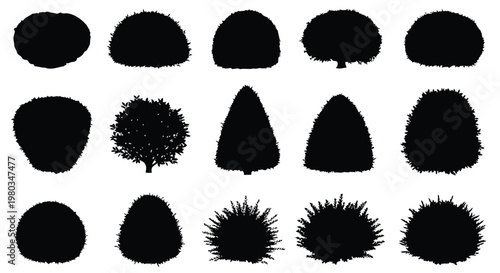 Various types of black pinecones and seed pods