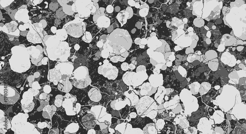 Abstract Black and White Splatter Pattern.